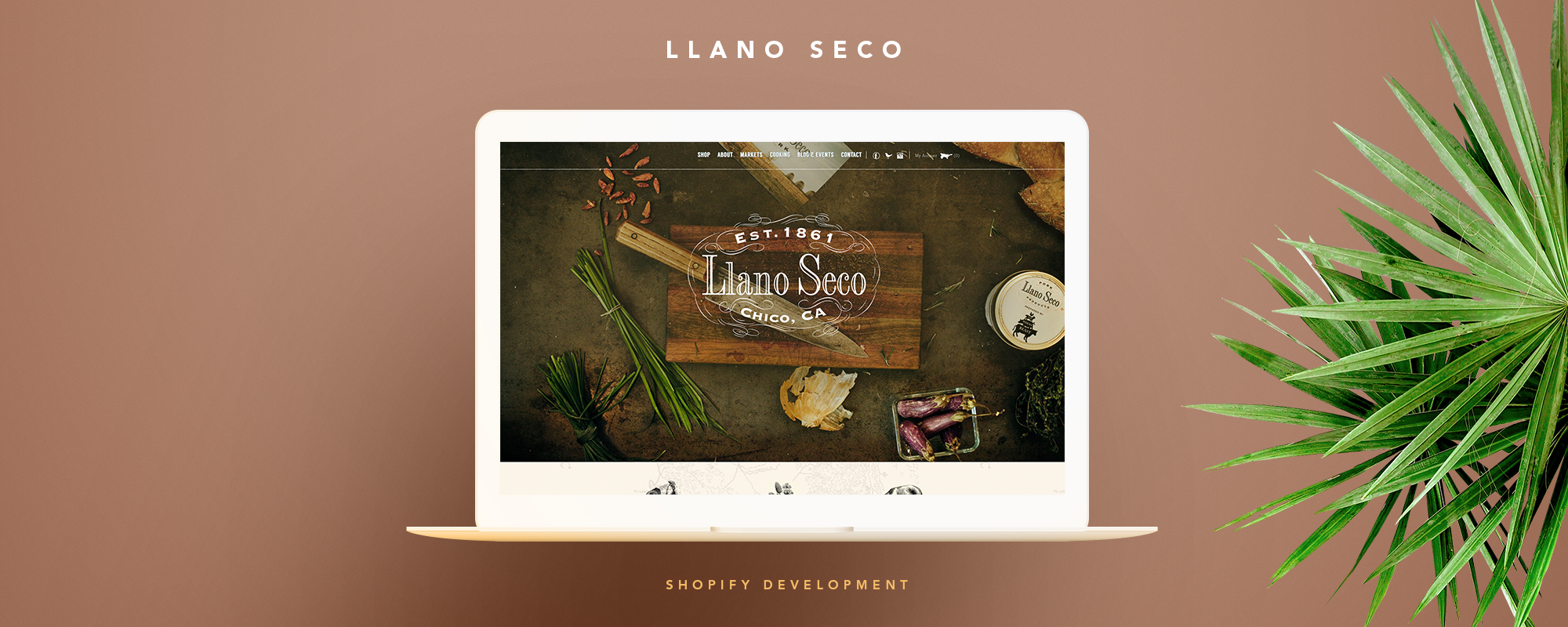 Llano Seco