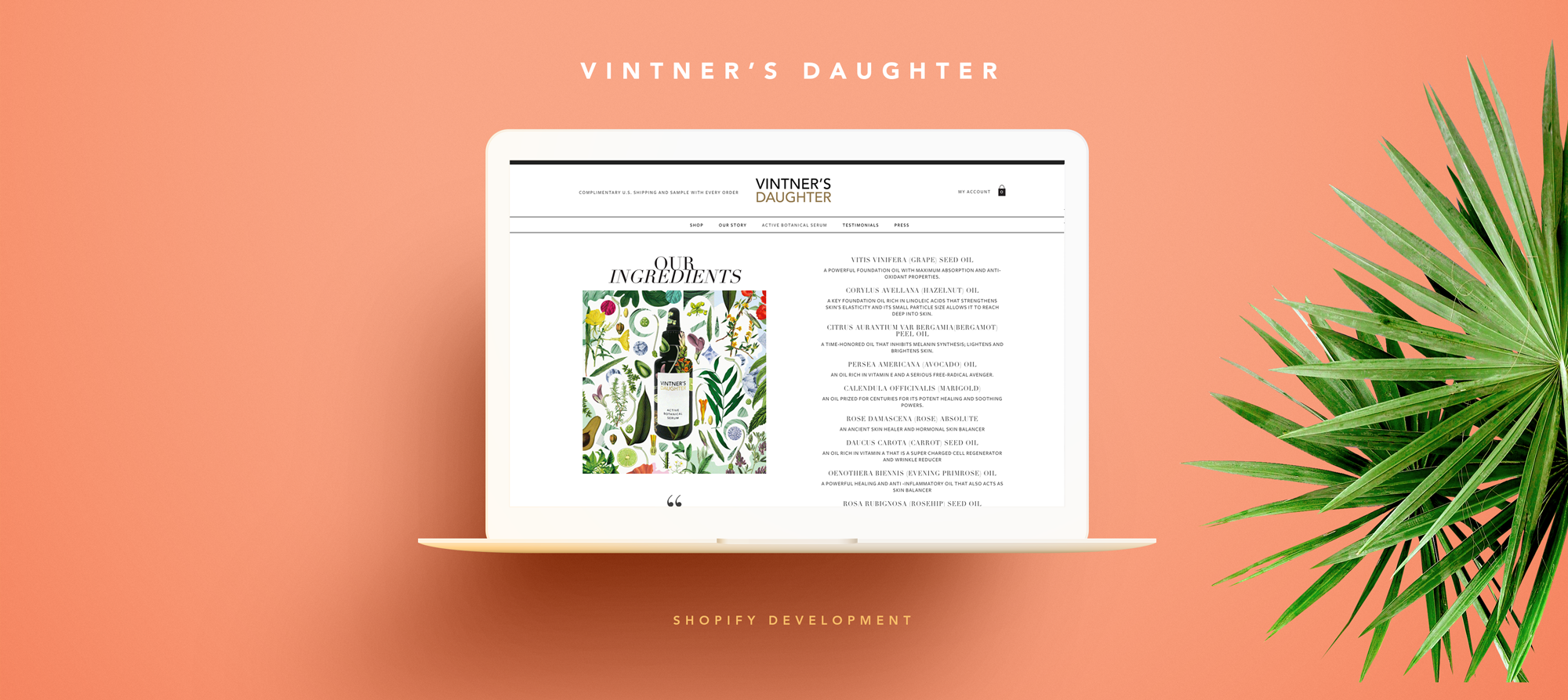 Vintner's Daughter