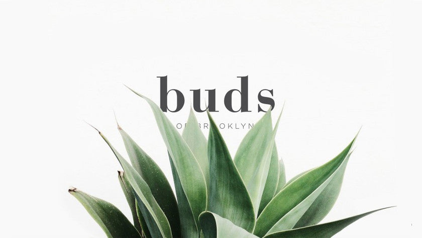 Bud's Flowers